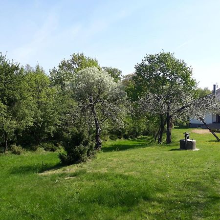 Happiness Country Retreat Villa Bubel Exteriör bild